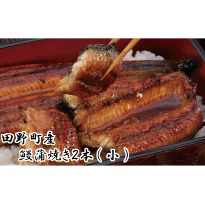 【四国一小さなまち】田野町産うなぎ蒲焼き(小)　 2本