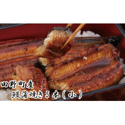 【四国一小さなまち】田野町産うなぎの蒲焼き(小) 5本tano