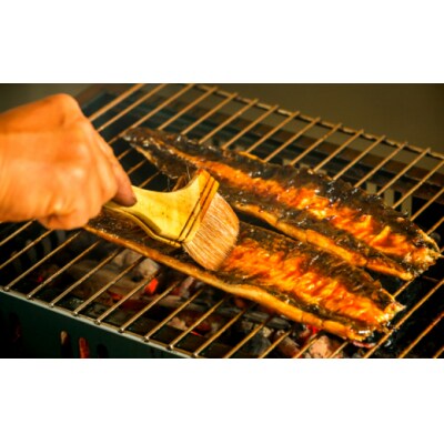 【四国一小さなまち】田野町産うなぎの蒲焼き(小) 5本tano