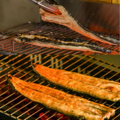 【四国一小さなまち】田野町産うなぎのひつまぶし　約100g×10パック〈田野町養鰻倶楽部〉