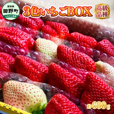 【四国一小さなまち】≪農園直送≫ 高級品種3色いちごBOX　計600g程度