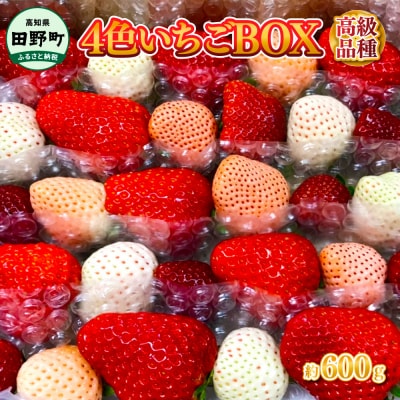 【四国一小さなまち】≪農園直送≫ 高級品種4色いちごBOX 計600g程度