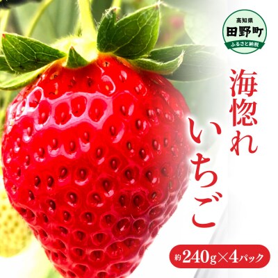 【四国一小さなまち】≪農園直送≫ 海惚れいちご　約240g×4パック (S~Lサイズ混載)