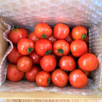 【四国一小さなまち】黒岩さん家のフルティカトマト(ばら詰め)　約1.7kg