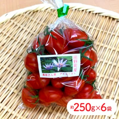 【四国一小さなまち】黒岩さん家のアイコトマト　約1.5kg(約250g×6袋)tano
