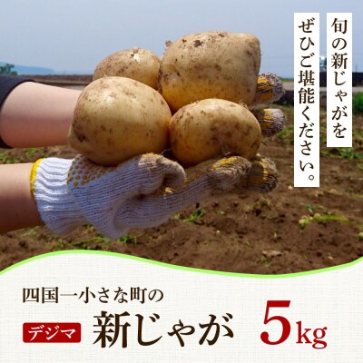 ★先行受付:2025年5月発送開始★大野台地で採れた 令和7年産新じゃがいも『デジマ』5kg