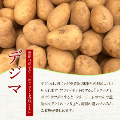 ★先行受付:2024年5月発送開始★大野台地で採れた令和6年産新じゃがいも『デジマ』20kg 訳あり