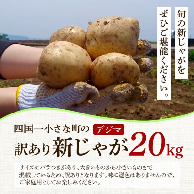 ★先行受付:2024年5月発送開始★大野台地で採れた令和6年産新じゃがいも『デジマ』20kg 訳あり