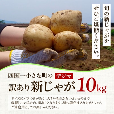★先行受付:2025年5月発送開始★大野台地で採れた令和7年産新じゃがいも『デジマ』10kg 訳あり