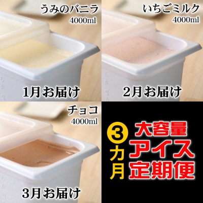 【四国一小さなまち】≪2025年1月発送開始≫★松崎冷菓★大容量アイス3ヵ月定期便(1月～3月)