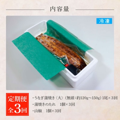 田野町産うなぎの蒲焼き(大) 1尾×3回 定期便 3ヶ月 定期コース 1尾あたり120～150g