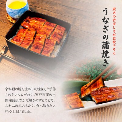 田野町産うなぎの蒲焼き(小) 2尾×3回 定期便 3ヶ月 定期コース 1尾あたり90～120g