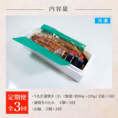 田野町産うなぎの蒲焼き(小) 2尾×3回 定期便 3ヶ月 定期コース 1尾あたり90～120g