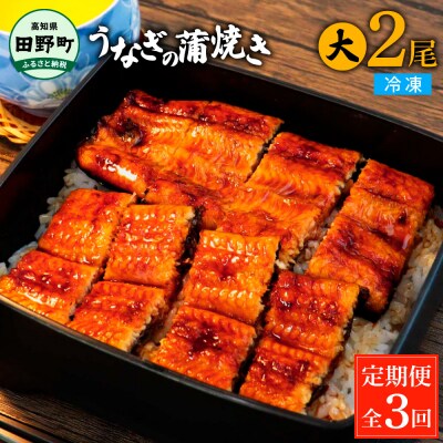 田野町産うなぎの蒲焼き(大) 2尾×3回 定期便 3ヶ月 定期コース 1尾あたり120～150g