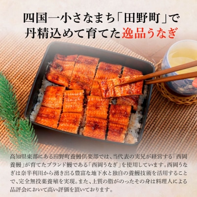 田野町産うなぎの蒲焼き(大) 2尾×3回 定期便 3ヶ月 定期コース 1尾あたり120～150g