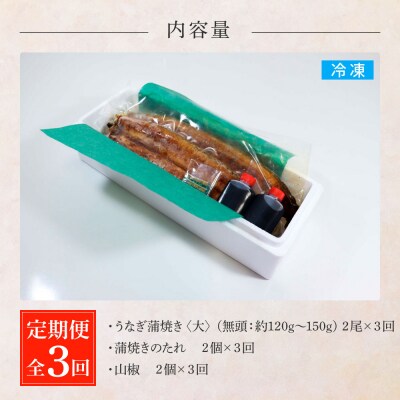 田野町産うなぎの蒲焼き(大) 2尾×3回 定期便 3ヶ月 定期コース 1尾あたり120～150g