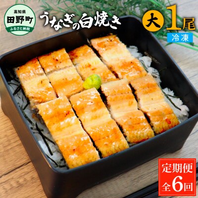 田野町産うなぎの白焼き(大) 1尾×6回 定期便 6ヶ月 定期コース 1尾あたり120～150g