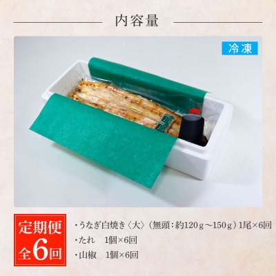 田野町産うなぎの白焼き(大) 1尾×6回 定期便 6ヶ月 定期コース 1尾あたり120～150g