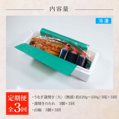 田野町産うなぎの蒲焼き(大) 3尾×3回 定期便 3ヶ月 定期コース 1尾あたり120～150g
