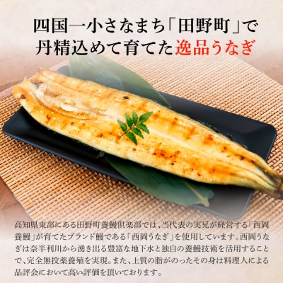 田野町産うなぎの白焼き(大) 4尾×3回 定期便 3ヶ月 定期コース 1尾あたり120～150g
