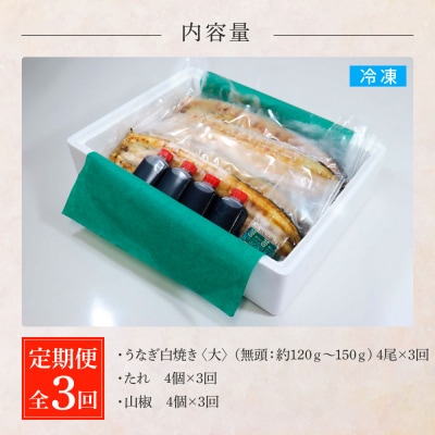 田野町産うなぎの白焼き(大) 4尾×3回 定期便 3ヶ月 定期コース 1尾あたり120～150g