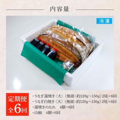 田野町産うなぎの蒲焼き(大)+うなぎの白焼き(大) 各2尾×6回 定期便 6ヶ月