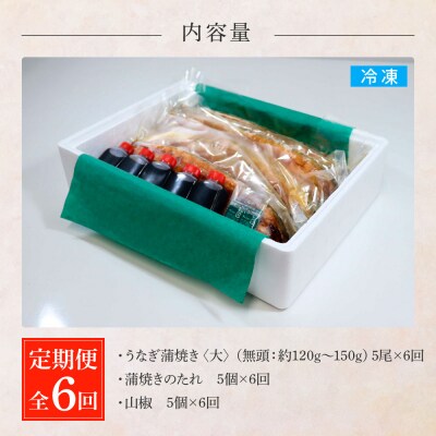 田野町産うなぎの蒲焼き(大) 5尾×6回 定期便 6ヶ月 定期コース 1尾あたり120～150g