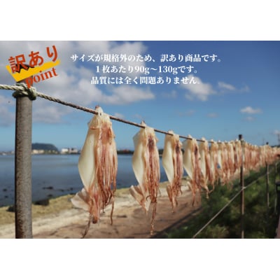 【四国一小さなまち】《カネアリ水産》数量限定★訳あり★スルメイカの一日干し　4枚入り ( 冷凍 )