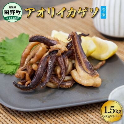 【四国一小さなまち】アオリイカのゲソ★1.5kg★(500g×3パック)