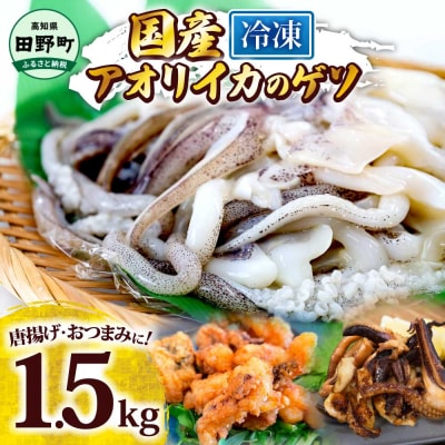 【四国一小さなまち】アオリイカのゲソ ★1.5kg★(500g×3パック)