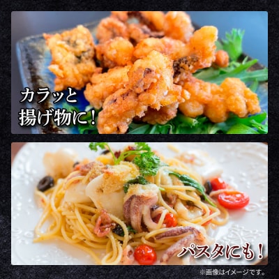 【四国一小さなまち】アオリイカのゲソ★1.5kg★(500g×3パック)tano