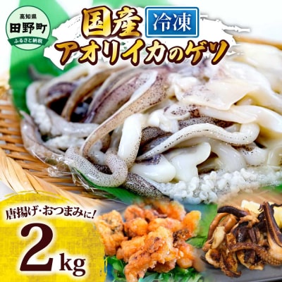 【四国一小さなまち】アオリイカのゲソ ★2kg★(500g×4パック)