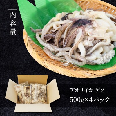 【四国一小さなまち】アオリイカのゲソ★2kg★(500g×4パック)