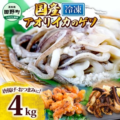 【四国一小さなまち】アオリイカのゲソ★4kg★(500g×8パック)tano