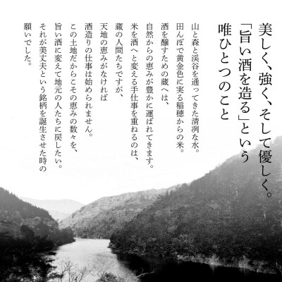 【四国一小さなまちの地酒】<3ヶ月定期便>★ふるさと納税限定★ 美丈夫『田野ラベル』一升瓶2本セット