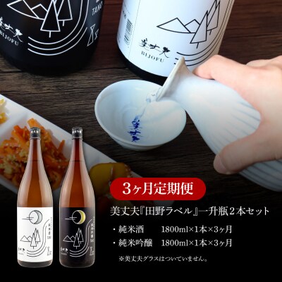 【四国一小さなまちの地酒】<3ヶ月定期便>★ふるさと納税限定★ 美丈夫『田野ラベル』一升瓶2本セット