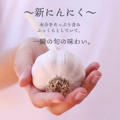 【四国一小さなまち】 ★数量限定★ ≪ヤマシン≫ 初鰹のわら焼きタタキ 2節　※新にんにく1玉付き※