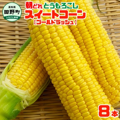 【四国一小さなまち】★令和7年6月上旬発送開始予定★スイートコーン(ゴールドラッシュ) 8本