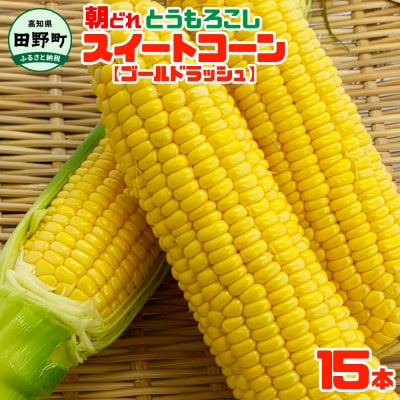 【四国一小さなまち】★令和7年6月上旬発送開始予定★スイートコーン(ゴールドラッシュ)15本