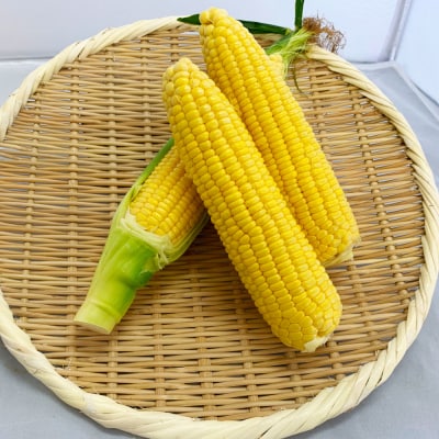 【四国一小さなまち】★令和7年6月上旬発送開始予定★スイートコーン(ゴールドラッシュ)15本