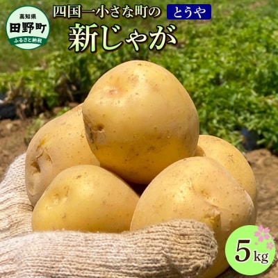 【四国一小さなまち】大野台地で採れた 令和6年産新じゃがいも『とうや』　5kg
