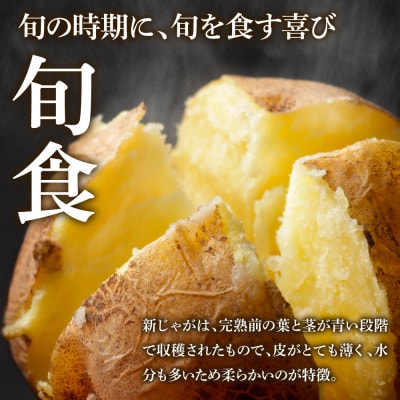 【四国一小さなまち】大野台地で採れた 令和6年産新じゃがいも『とうや』　5kg