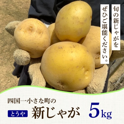 先行受付【四国一小さなまち】大野台地で採れた 令和8年産新ジャガイモ『とうや』5㎏