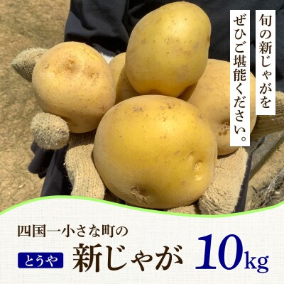 ★先行受付:2026年5月発送開始★大野台地で採れた令和8年産新じゃがいも『とうや』10kg