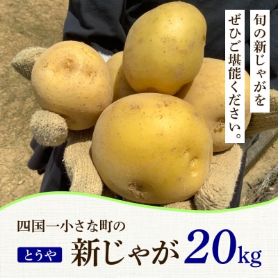 【四国一小さなまち】大野台地で採れた 令和6年産新じゃがいも『とうや』　20kg