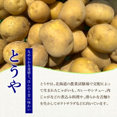 ★先行受付:2026年5月発送開始★大野台地で採れた令和8年産新じゃがいも『とうや』10kg訳あり品