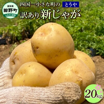 【四国一小さなまち】大野台地で採れた 令和6年産新じゃがいも『とうや』  20kg   訳あり品