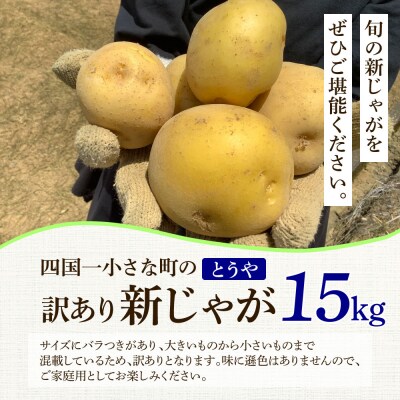 【四国一小さなまち】大野台地で採れた 令和6年産新じゃがいも『とうや』  15kg   訳あり品