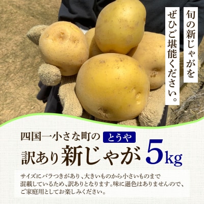 ★先行受付:2026年5月発送開始★大野台地で採れた令和8年産新じゃがいも『とうや』5kg訳あり品