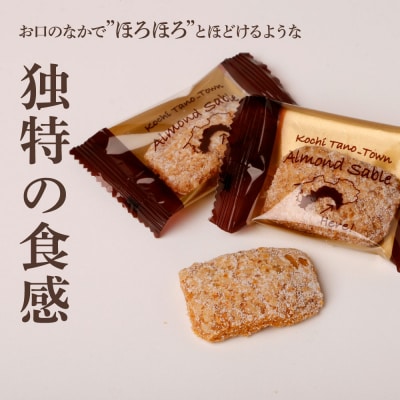 【四国一小さなまち】★田野屋塩二郎完全天日塩★ アーモンドサブレ・ブリック(15個入)　1箱